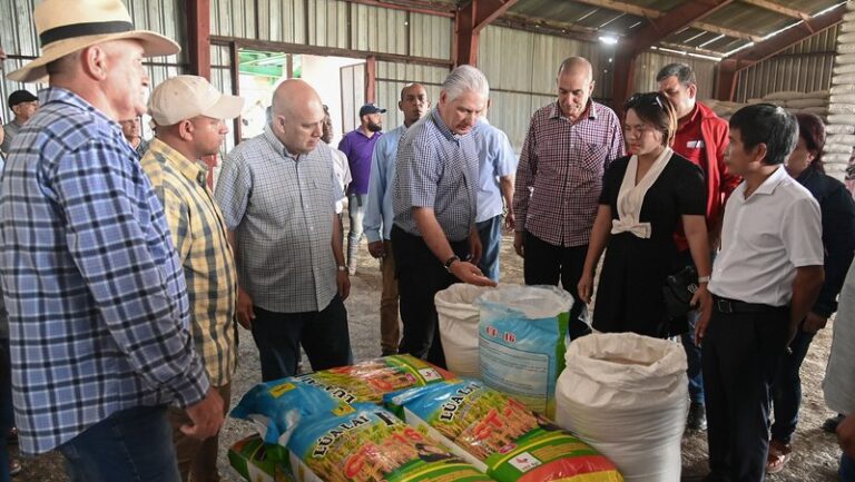 Reuni&oacute;n de D&iacute;az-Canel con funcionarios y productos agr&iacute;colas en Cuba