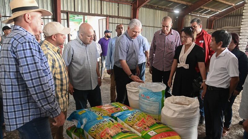 Reuni&oacute;n de D&iacute;az-Canel con funcionarios y productos agr&iacute;colas en Cuba