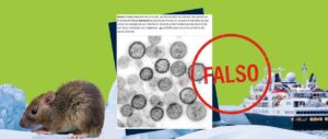 Imagen que muestra un roedor y part&iacute;culas del hantavirus con un mensaje de alerta