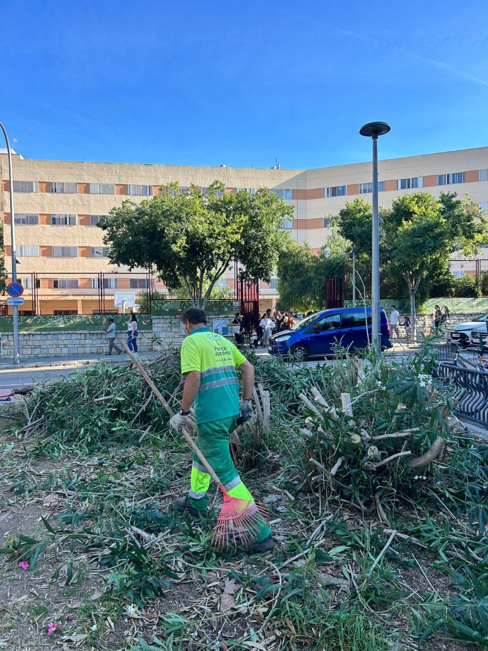 Jardinero limpiando vegetaci&oacute;n en la Plaza de los Patines