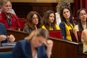 Asistentes en el parlamento durante una sesi&oacute;n importante
