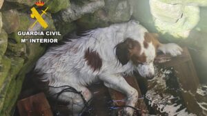 Rescatan a un perro atrapado en un pozo en Sant Joan