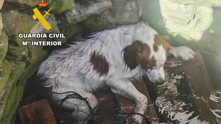 Rescatan a un perro atrapado en un pozo en Sant Joan