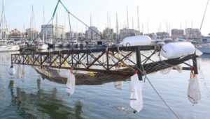Estructura de extracci&oacute;n del pecio de Ses Fontanelles en el agua