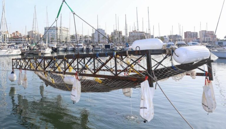 Estructura de extracci&oacute;n del pecio de Ses Fontanelles en el agua