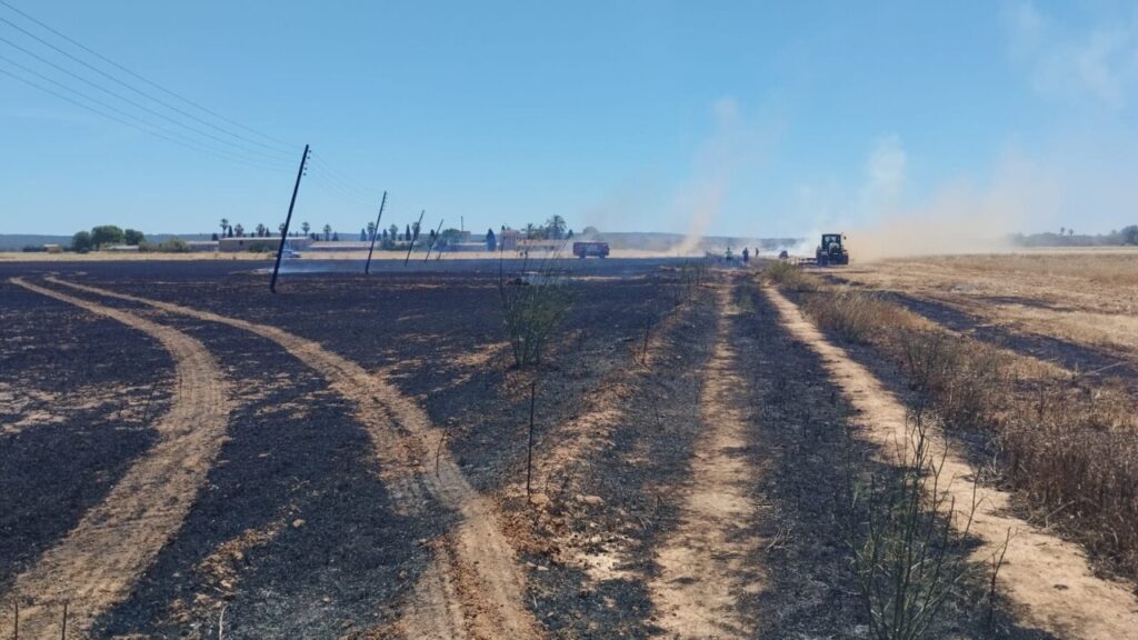 Campo quemado tras un incendio agr&iacute;cola en Son Catlar, Mallorca
