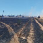 Campo quemado tras un incendio agrícola en Son Catlar, Mallorca
