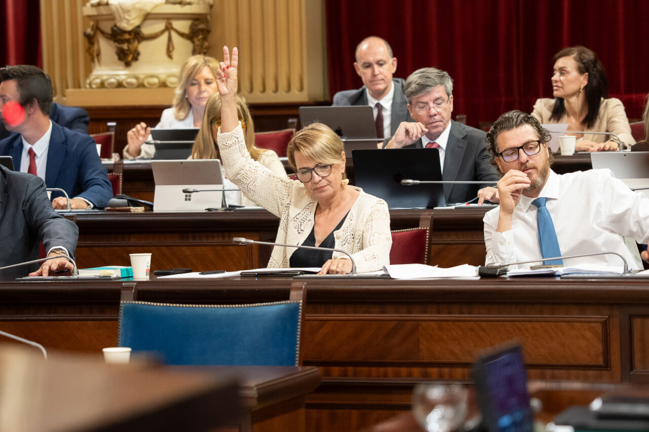 Miembro del parlamento levantando la mano durante una sesión