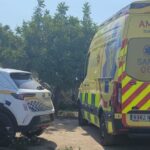 Ambulancia y coche de polic&iacute;a en una finca en Selva tras un accidente