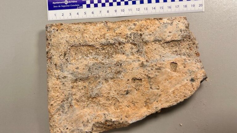 Fragmento de adoquín utilizado en un operativo policial en Palma