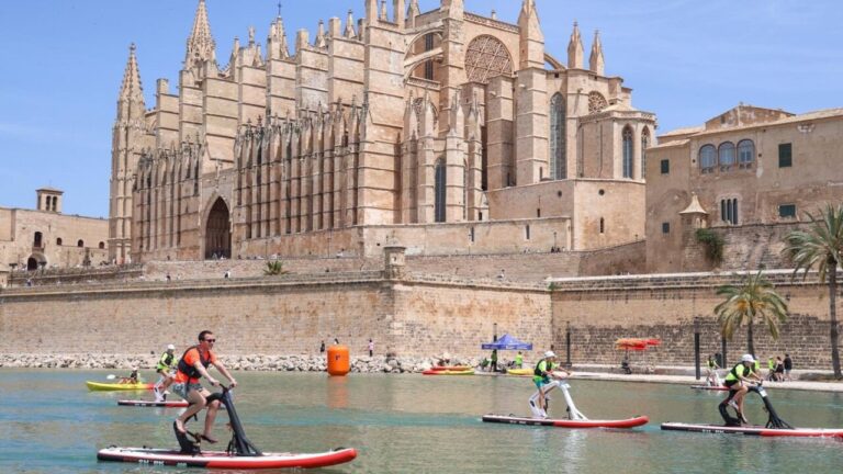 Participantes en bicis acuáticas en el Parc de la Mar en Palma