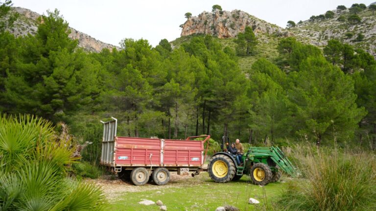 Tractor trabajando en un entorno agrícola en Calvià