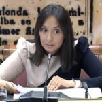 La directora general de la Guardia Civil durante su comparecencia en el Senado