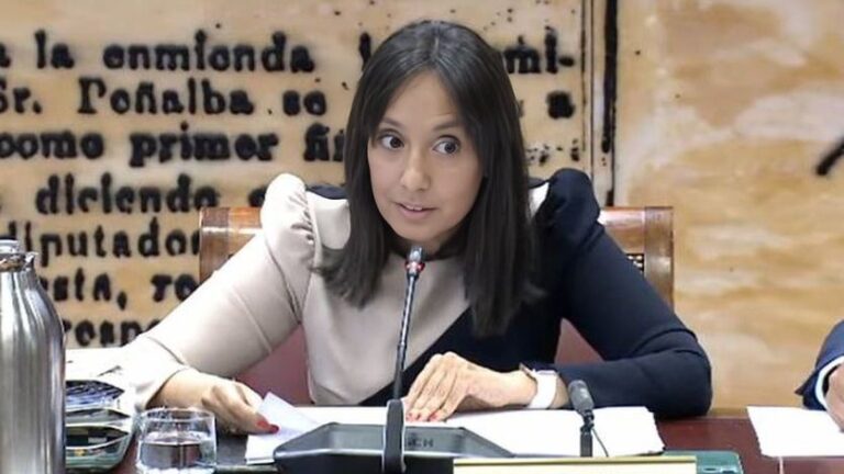 La directora general de la Guardia Civil durante su comparecencia en el Senado