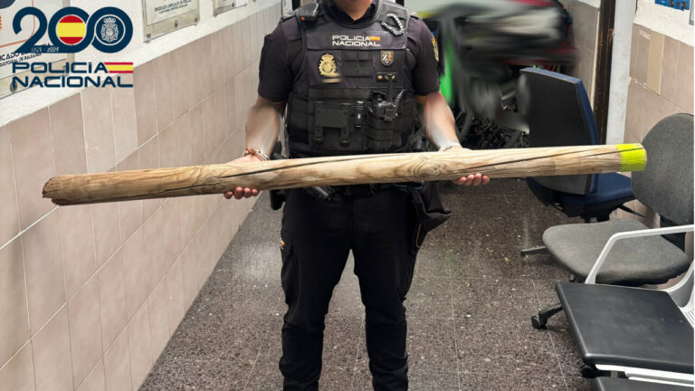 De hu&eacute;sped a detenida: amenaza de muerte con un palo a la familia que la acogi&oacute; en Palma