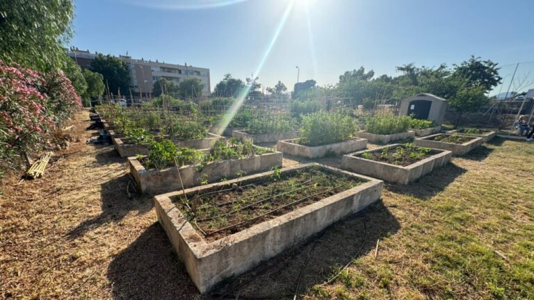 Huertos urbanos en Marratxí con parcelas cultivadas y flores