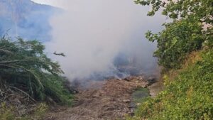 Incendio agr&iacute;cola en una zona de S&oacute;ller con humo denso