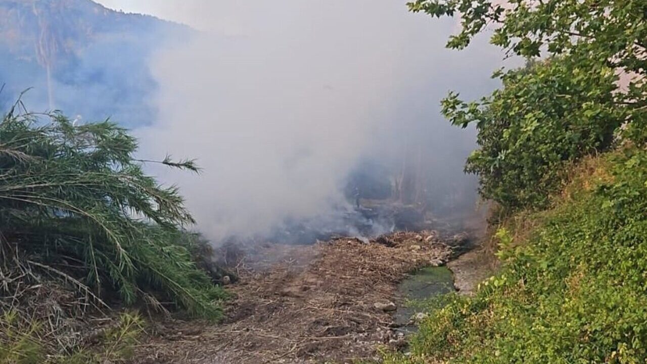 Incendio agr&iacute;cola en una zona de S&oacute;ller con humo denso