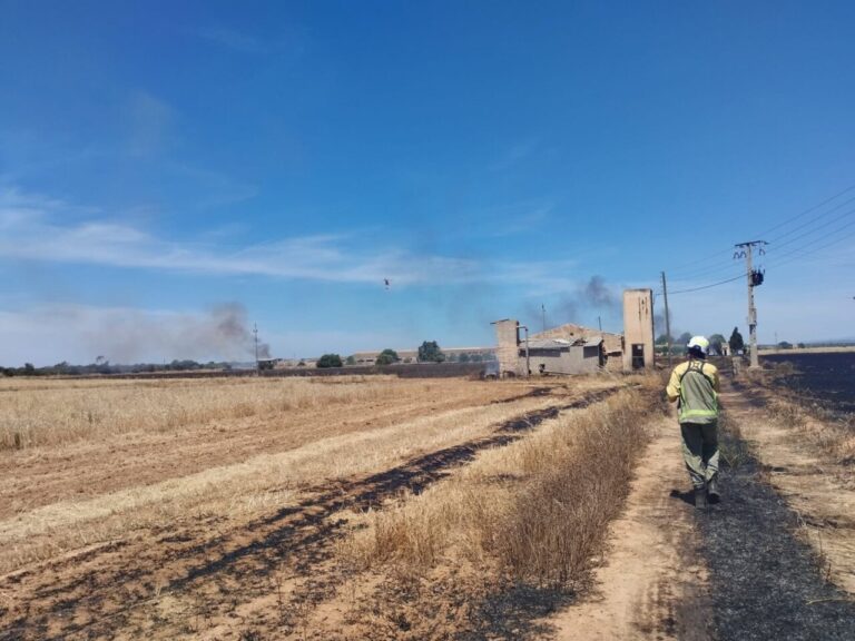 Bomberos trabajando en un incendio agrícola en Son Catlar
