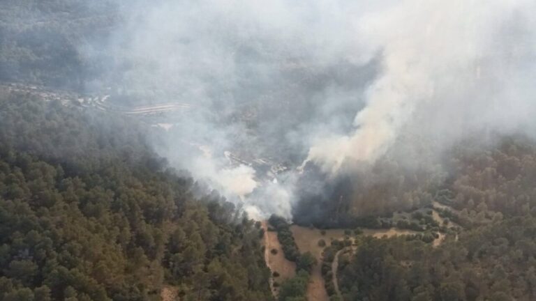 Vista a&eacute;rea de un incendio forestal en Puigpunyent con humo y &aacute;rboles