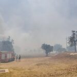 Incendio en las cercanías del Parc Bit con humo y vegetación afectada