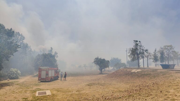 Incendio en las cercanías del Parc Bit con humo y vegetación afectada