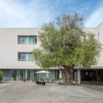 Exterior de una residencia de ancianos en Inca con un árbol grande
