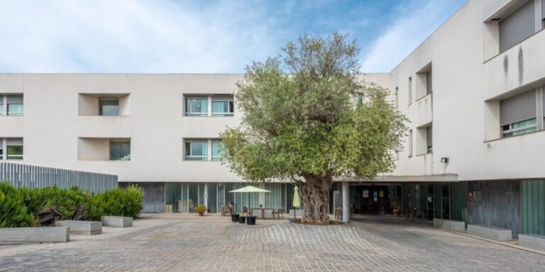 Exterior de una residencia de ancianos en Inca con un árbol grande