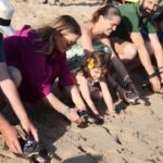 Grupo de personas liberando tortugas marinas en la playa de Can Pere Antoni