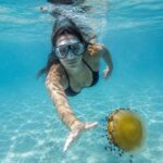 Mujer nadando hacia una medusa en el agua clara