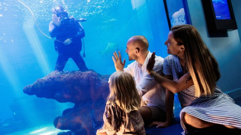 Palma Aquarium celebra el Día Mundial de los Océanos con todas estas actividades
