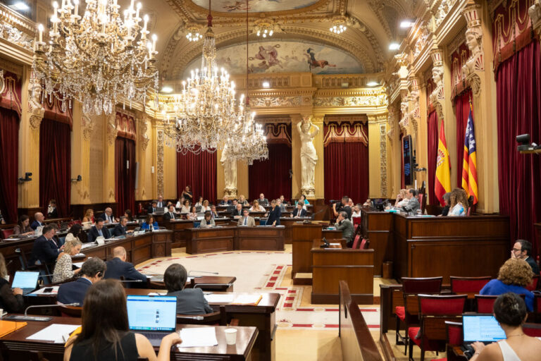 Interior del Parlamento con diputados en sesi&oacute;n plenaria