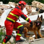 Rescatista con perro en escombros tras terremoto en Venezuela