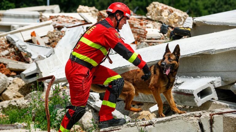 Rescatista con perro en escombros tras terremoto en Venezuela