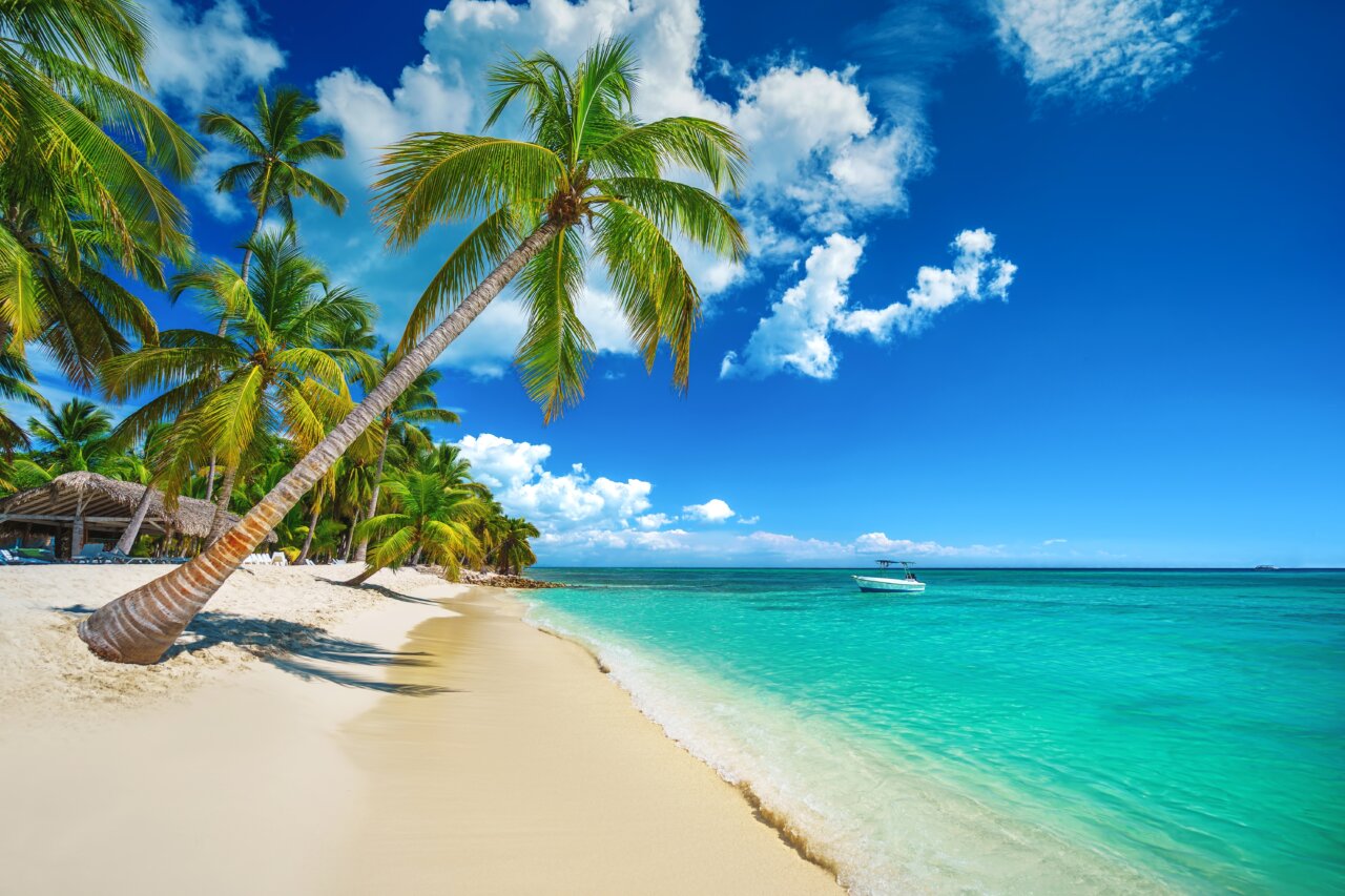 Playa de Punta Cana con palmeras y mar turquesa