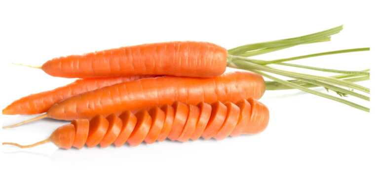 Zanahorias frescas de color naranja en diferentes formas