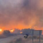 Bomberos trabajando en el incendio forestal de Los Gallardos