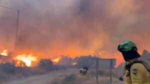 Bomberos trabajando en el incendio forestal de Los Gallardos