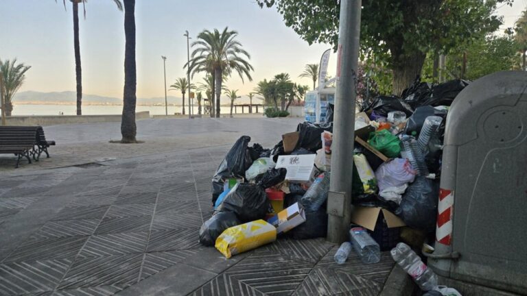 Montón de basura acumulada en la calle de Llucmajor