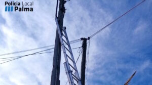 Escalera apoyada en un poste el&eacute;ctrico en Palma