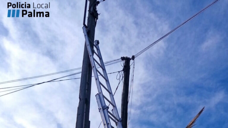 Escalera apoyada en un poste eléctrico en Palma