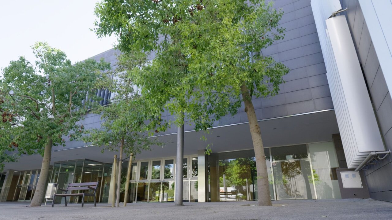 Edificio moderno de Mallorca Software Hotelero, sede del proyecto de innovación turística ASTROHMS-SOST en Baleares, rodeado de árboles en un entorno urbano.