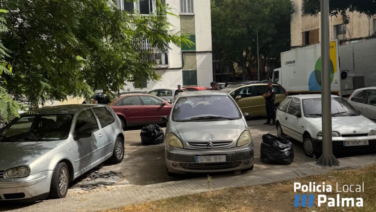 Operativo policial en Son Gotleu con vehículos y residuos en la vía pública