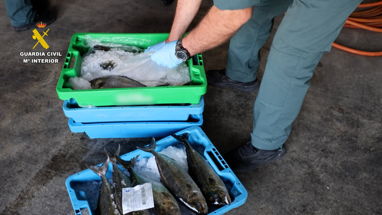 Agentes de la Guardia Civil manejando pescado en cajas de pl&aacute;stico