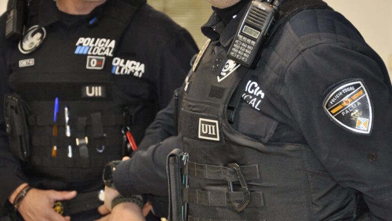 Agentes de la Polic&iacute;a Local de Palma en acci&oacute;n durante un incidente