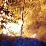 Dos incendios forestales en pocas horas ponen en alerta a Bunyola