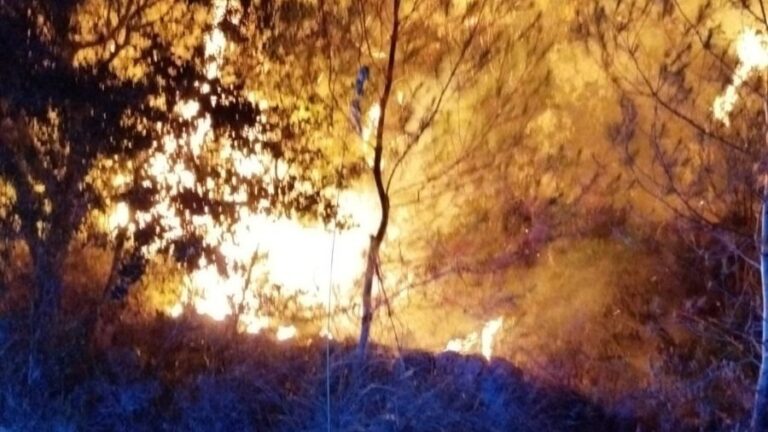 Dos incendios forestales en pocas horas ponen en alerta a Bunyola
