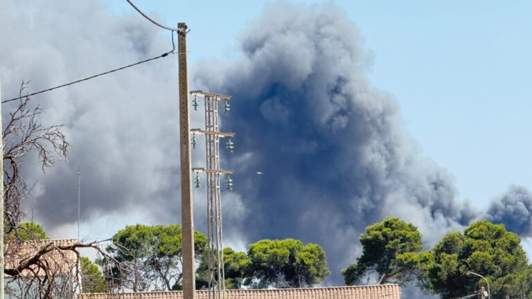 Nubes de humo negro tras un incendio de cami&oacute;n en Mercapalma