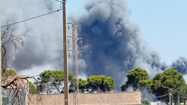 Nubes de humo negro tras el incendio de un cami&oacute;n en Mercapalma