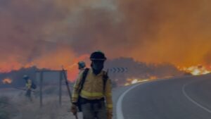 Bomberos trabajando en el incendio forestal de Los Gallardos, Almer&iacute;a.